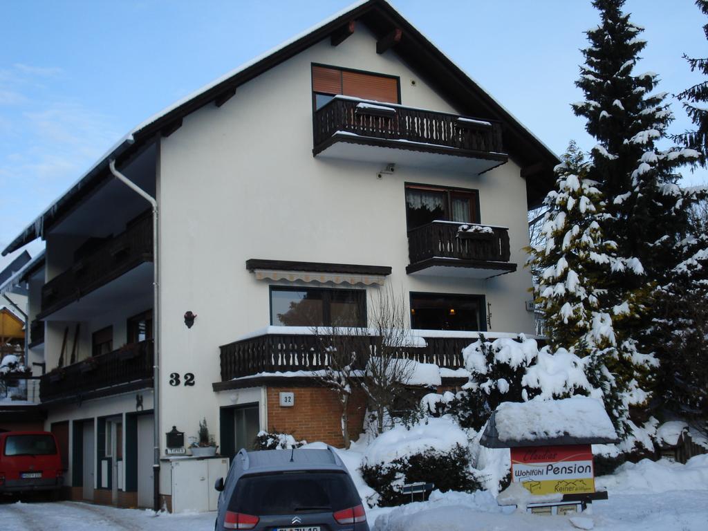 Claudias Wohlfuehlpension Willingen (Upland) Exterior foto