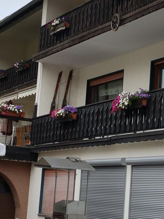 Claudias Wohlfuehlpension Willingen (Upland) Exterior foto