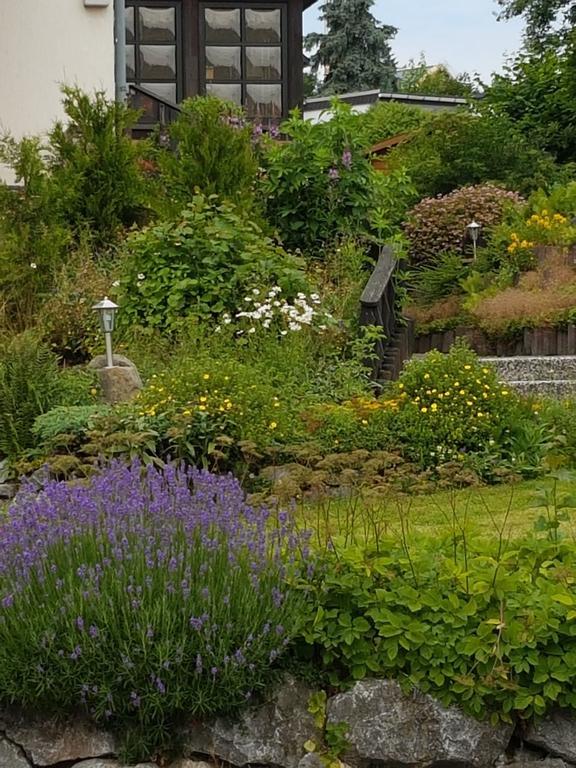 Claudias Wohlfuehlpension Willingen (Upland) Exterior foto